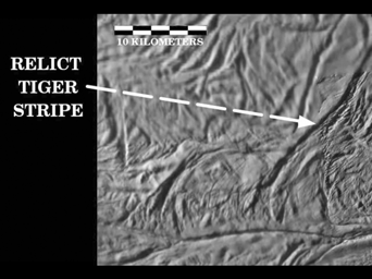 PIA11137: Reconstructing the Past on Enceladus