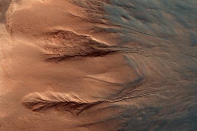 PIA11178: The Contrasting Colors of Crater Dunes and Gullies