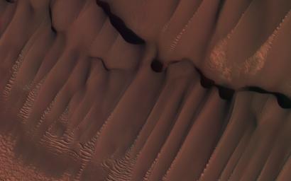 PIA11181: Dunes in Northern Summer