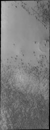 PIA11256: Polar Dunes