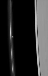 PIA11527: Between the Lines