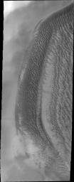 PIA11923: Richardson Crater