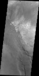 PIA11935: Dune Field in Nili Patera
