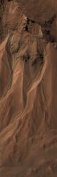 PIA12194: Gullies at the Edge of Hale Crater, Mars