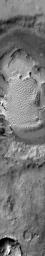 PIA12315: Rabe Crater Dunes (IR)