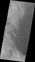 PIA12343: Rabe Crater Dunes (VIS)