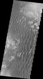 PIA12429: Kaiser Crater Dunes (VIS)