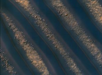 PIA12491: Dune Symmetry Inside Martian Crater