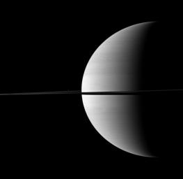 PIA12658: Speck of Enceladus
