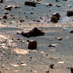 PIA12974: First Image from a Mars Rover Choosing a Target, False Color