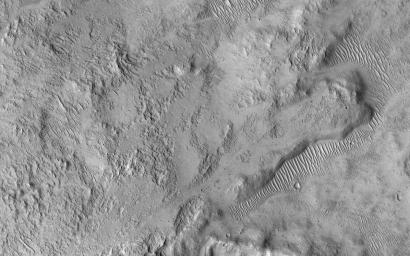 PIA13181: Muddy Ejecta Flow