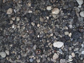 PIA13582: Test Image of Earth Sand by Mars Camera