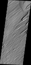 PIA13606: Wind Texture
