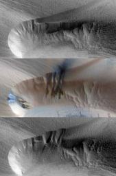 PIA13797: Seasonal Changes in Northern Mars Dune Field