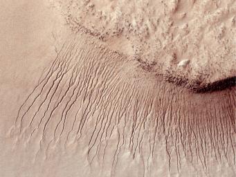 PIA13802: True Gullies on Mars