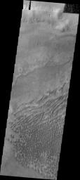 PIA13887: Russell Crater Dunes