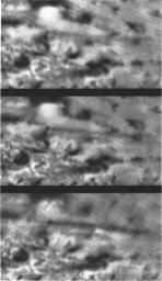 PIA14449: Triton's Volcanic Plumes