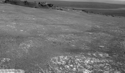 PIA14539: Bright Veins in 'Botany Bay' on rim of Endeavour Crater on Mars