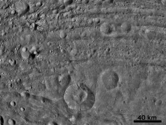 PIA14696: Worm-like Markings on Vesta's Surface