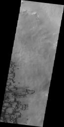 PIA14768: Darwin Crater Dunes