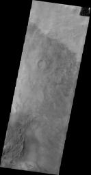 PIA14968: Darwin Crater Dunes