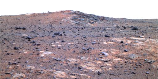 PIA15113: 'Shoemaker Ridge' on Endeavour Rim (False Color)
