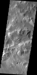 PIA15130: Gullies in Holden Crater