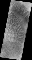 PIA15133: Russell Crater Dunes