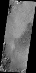 PIA15214: Dunes of Arabia Terra
