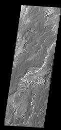 PIA15303: Daedalia Planum
