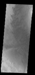 PIA15308: Moreux Crater Dunes