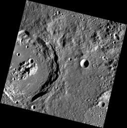 PIA15365: Living in Anonymity