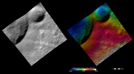 PIA15456: Apparent Brightness and Topography Images of Calpurnia and Minucia