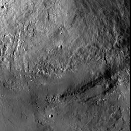PIA15498: Wall and Terrace at Marcia Crater