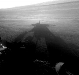 PIA16120: Shadow Self-Portrait by Opportunity at Endeavour Crater