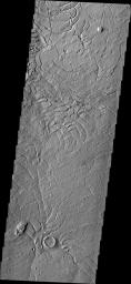 PIA16329: Arcuate Fratures