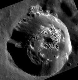 PIA16397: A Haven for Hollows