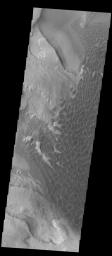 PIA17345: Rabe Crater Dunes