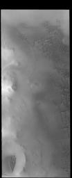 PIA18496: North Polar Dunes