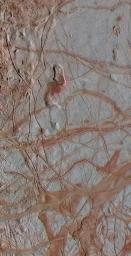 PIA20028: Europa's Varied Surface Features