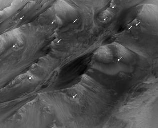 PIA20757: Numerous Seasonal 'Lineae' on Coprates Montes, Mars