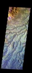 PIA21276: Arda Valles - False Color