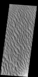 PIA21503: Proctor Crater Dunes