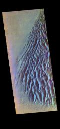 PIA21549: Proctor Crater Dunes- False Color