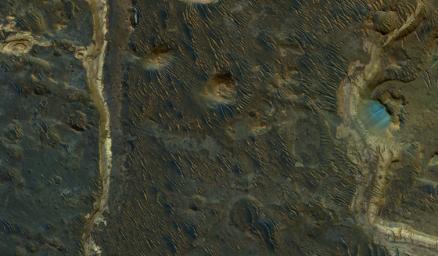 PIA21587: Lakebeds in Holden Crater