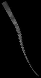 PIA21622: Cassini Near-Infrared "Noodle" Mosaic of Saturn