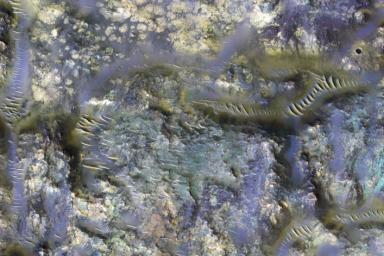 PIA21782: Mars and the Amazing Technicolor Ejecta Blanket