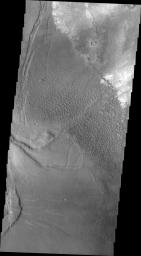 PIA22002: Investigating Mars: Nili and Meroe Paterae