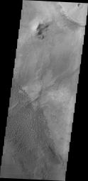 PIA22004: Investigating Mars: Nili and Meroe Paterae