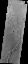 PIA22012: Investigating Mars: Nili and Meroe Paterae